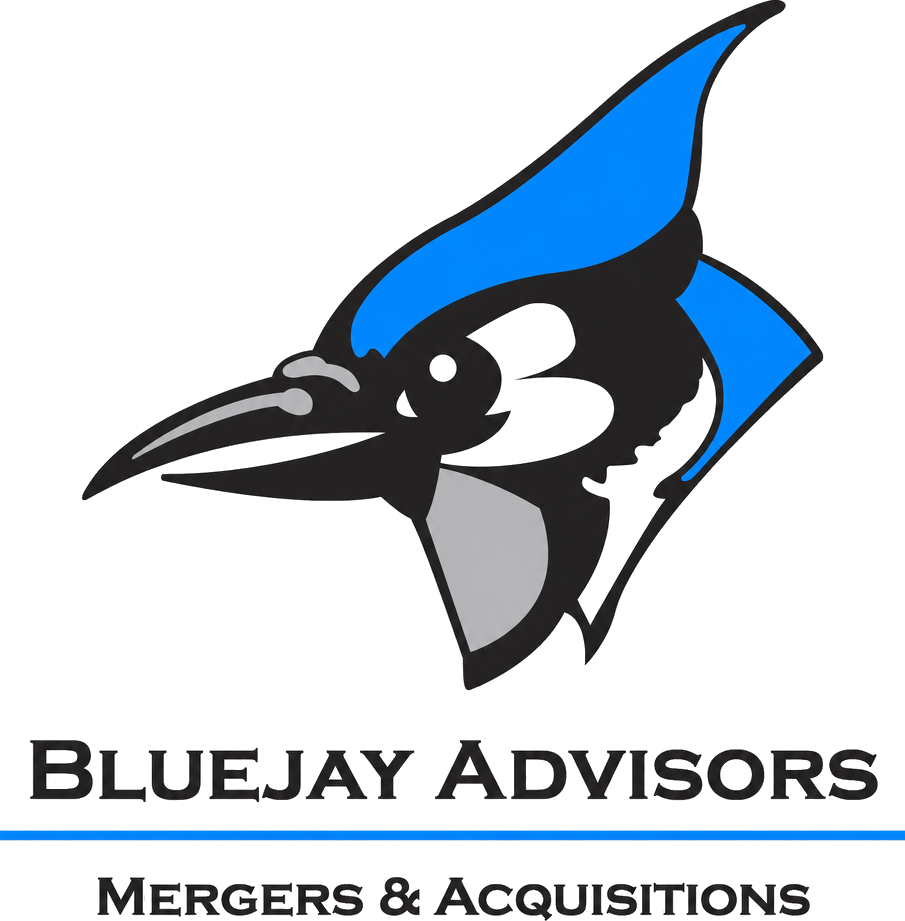 Bluejay Advisors